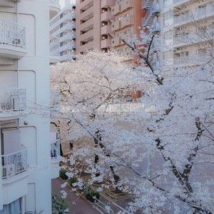 Meet your Posher, Georgie